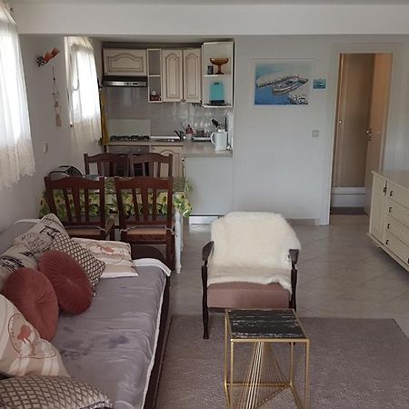 Apartment Branka Labin  Eksteriør bilde